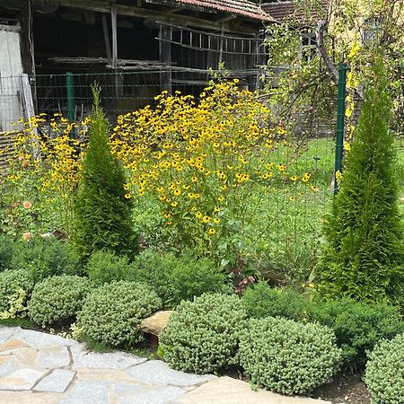 טריאבנה Verta House מראה חיצוני תמונה
